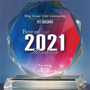 2021 Award