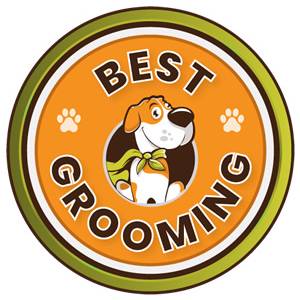Best Groomer Georgia
